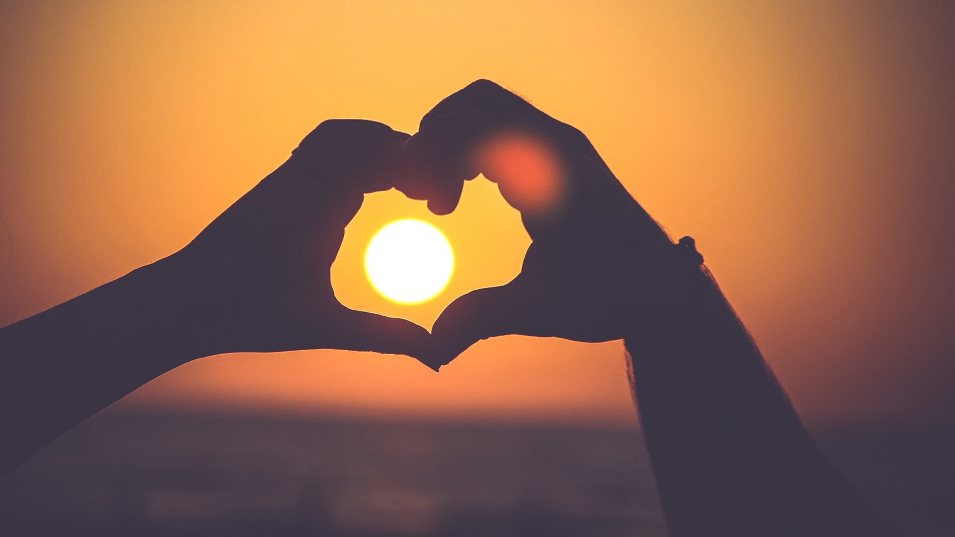 Aligning Features With User Needs in Adult Sex Games